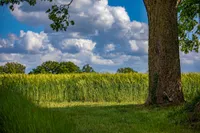 Ausblick