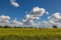 Weitblick