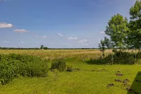 Blick auf Koppel