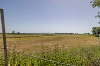 Blick auf die Koppel