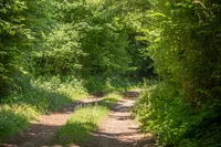 Wandern