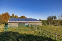 Offenstall und Paddock