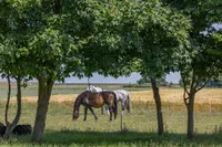 Impressionen