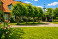 Baumreihe