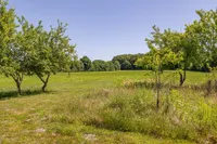 Obstbaumwiese