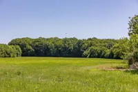 Hauskoppel