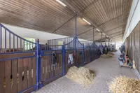 Stalltrakt Reithalle