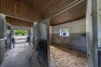 Boxen im kleinen Stall