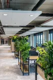 Conpax, Oosterhout - Mint Interieur