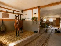 Stall - Visu