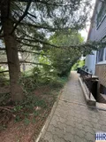 Seitlicher Garten