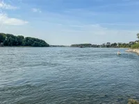 Rhein