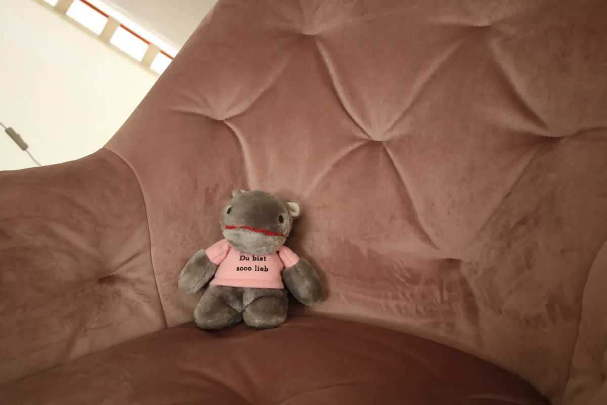 Teddy